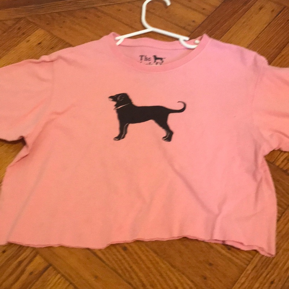 Girls Pink ‘The Black Dog’ Cropped T - Shirt